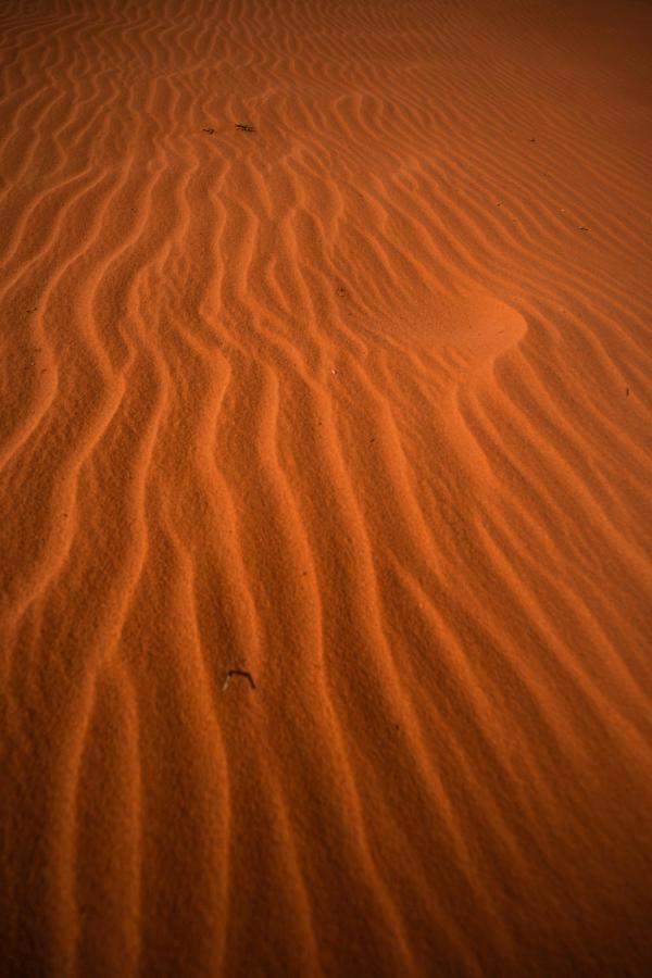 Hôtel Stars Life Camp-Tour à Wadi Rum Extérieur photo